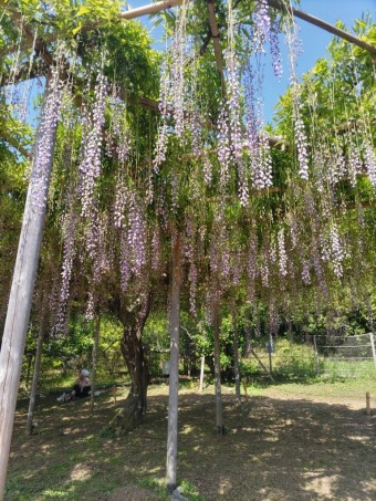 DSC_0597-e1684315370954